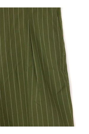 Bermuda in cotone, colore verde PAOLO PECORA | D0121521R5A1